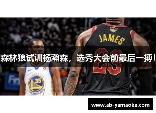 森林狼试训杨瀚森，选秀大会前最后一搏！